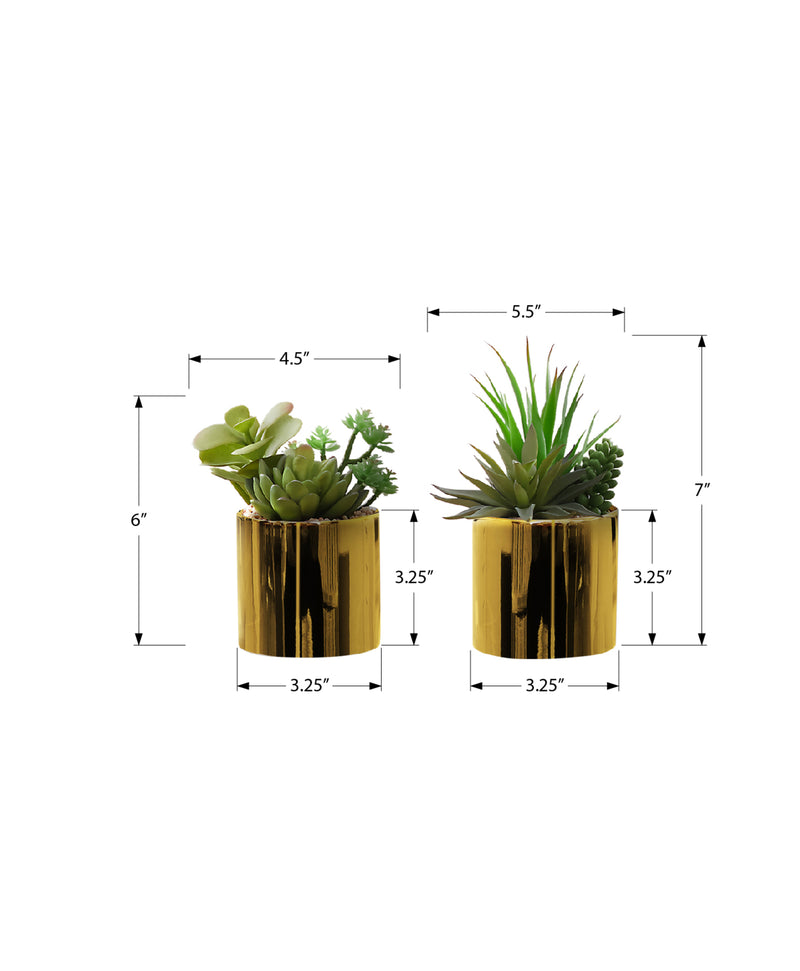 Plantes succulentes artificielles dans des pots dorés brillants - Lot de 2