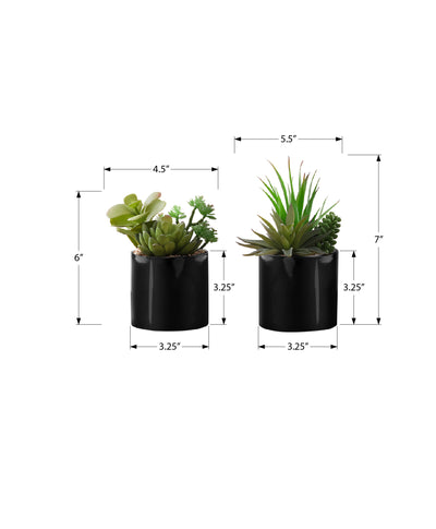 Set of 2 Artificial Succulent Plants in Glossy Black Pots - 7" Tall