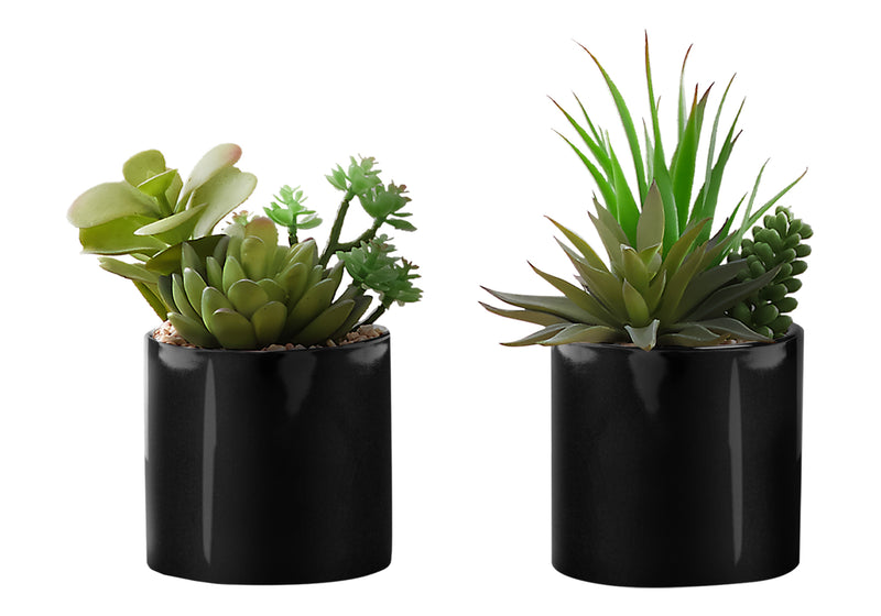 Set of 2 Artificial Succulent Plants in Glossy Black Pots - 7" Tall