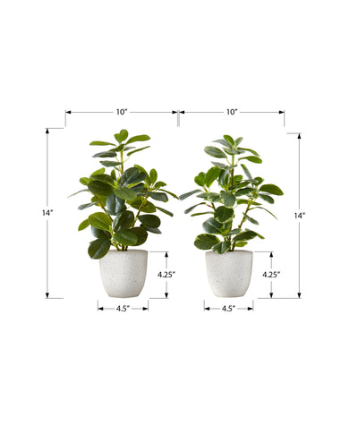 Set of 2 Faux Ficus Artificial Plants, 14" Tall, Indoor Greenery Décor