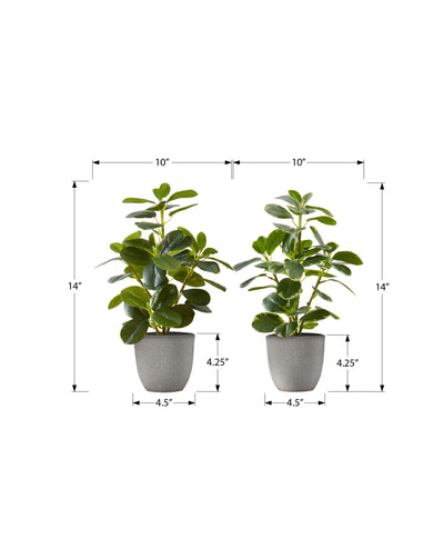 Lot de 2 plantes artificielles de 14 po de hauteur en faux ficus dans des pots gris - Verdure décorative d'intérieur