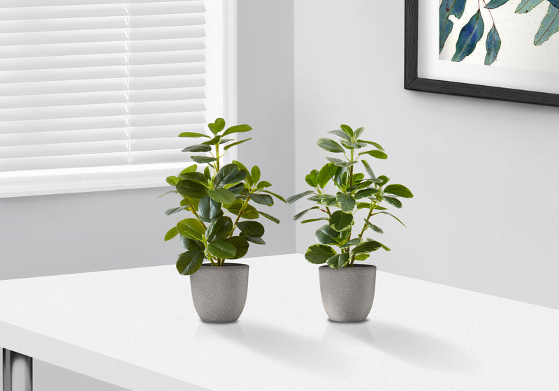 Lot de 2 plantes artificielles de 14 po de hauteur en faux ficus dans des pots gris - Verdure décorative d&