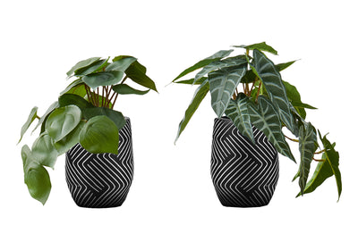 Lot de 2 plantes artificielles d'Alocasia, 20,3 cm de hauteur, verdure artificielle d'intérieur dans des pots en ciment noir