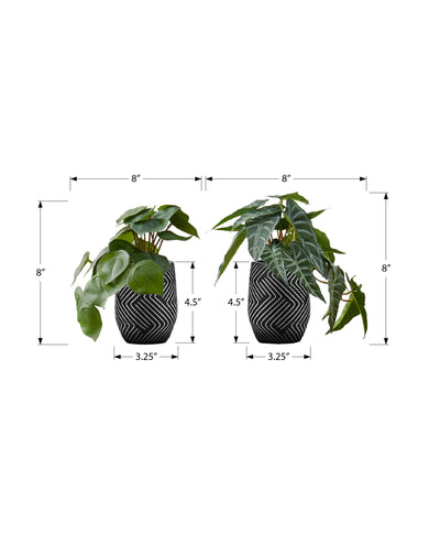 Faux Alocasia Plant Set of 2, 8" Tall Indoor Artificial Greenery in Black Cement Pots