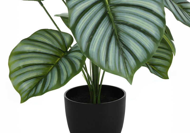 24" Tall Calathea Artificial Plant - Real Touch Green Leaves, Indoor Decor, Faux, Table Greenery