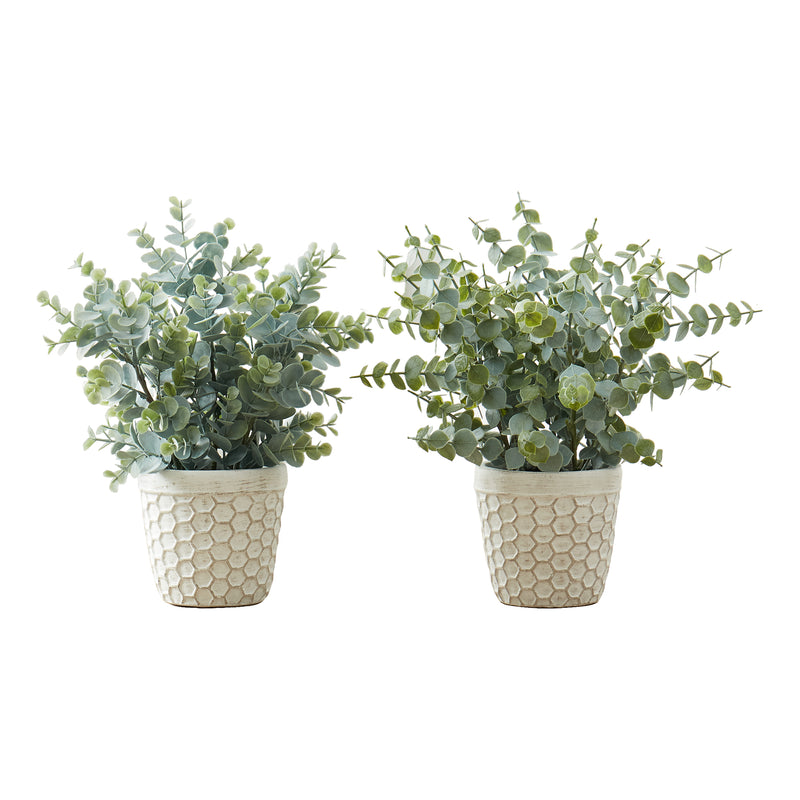 Set of 2 Eucalyptus Grass Artificial Plants - 13" Tall, Indoor Greenery, Faux, White Pots