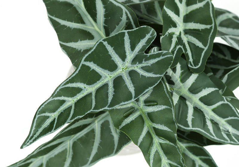 Set of 2 Alocasia Faux Plants - 8" Tall, Indoor Table Decor, Green Leaves, White Cement Pots