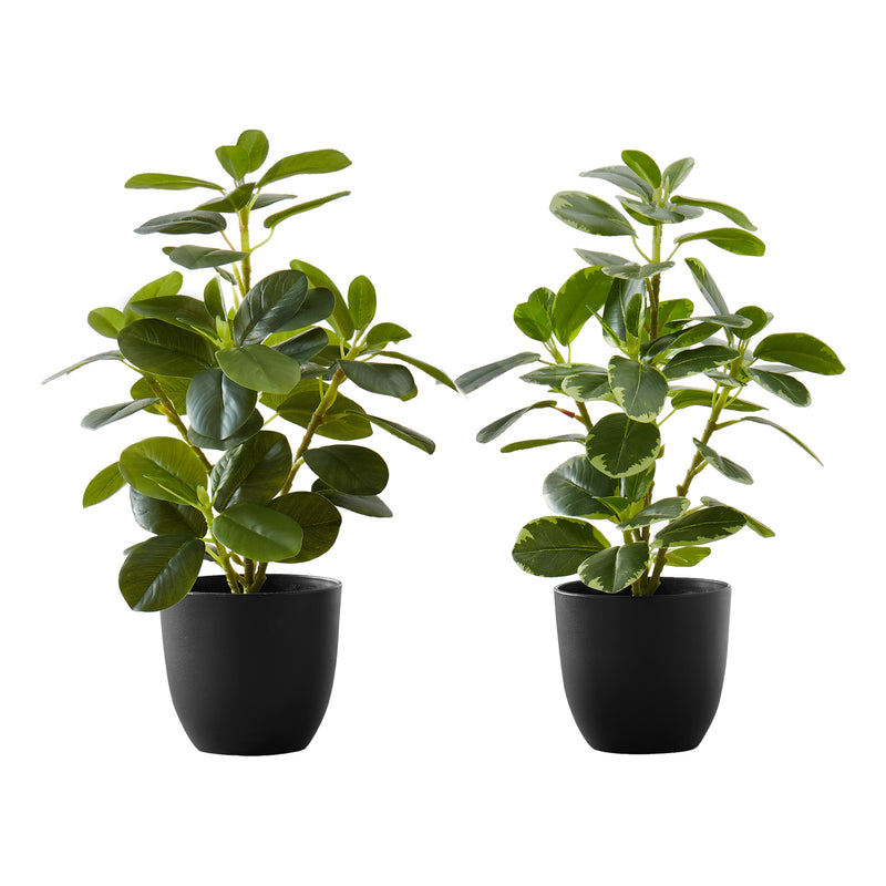 Set of 2 Faux Indoor Ficus Plants - 14" Tall, Green Leaves, Black Pots -  Decorative Table Greenery