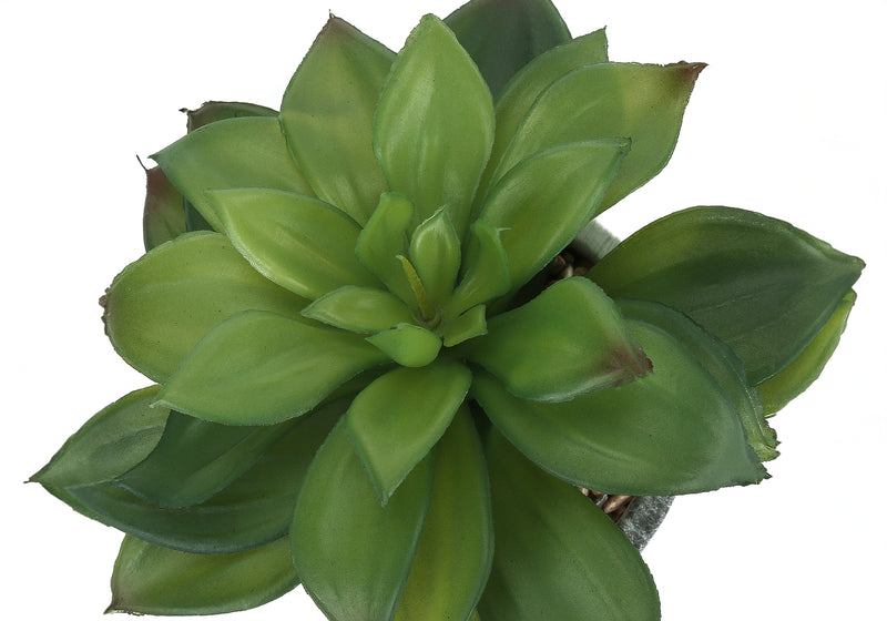 Ensemble de 2 plantes succulentes artificielles – Verdure décorative d&
