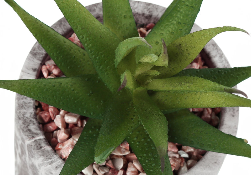 Ensemble de 2 plantes succulentes artificielles – Verdure décorative d&