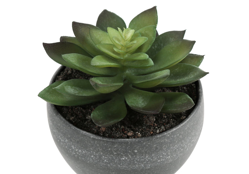 Ensemble de fausses plantes succulentes – 6" de haut, intérieur, verdure, en pot – Ensemble de 3 avec pots en ciment gris