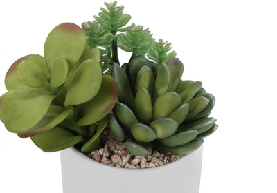 Ensemble de 2 fausses plantes succulentes, 7" de haut, verdure intérieure, pots décoratifs en céramique blanche
