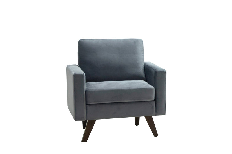 Modern Style Grey Velvet Chair