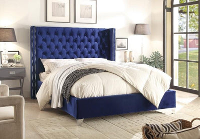 Blue Velvet Fabric Bed With Nailhead Details and Wing Design - IF-5891-K