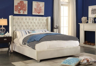 Creme Velvet Fabric Bed With Nailhead Details and Wing Design - IF-5892-Q