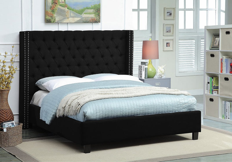 Black Wing Bed with Deep Button Tufting and Nailhead Details - IF-5899-Q-B